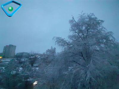 Главные новости 20 ноября: снегопад в Харькове, как прошла ночь