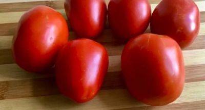Этот секрет поможет хранить помидоры несколько месяцев: узнайте первыми