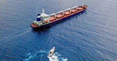 Шло из России: в Черном море затонуло турецкое грузовое судно