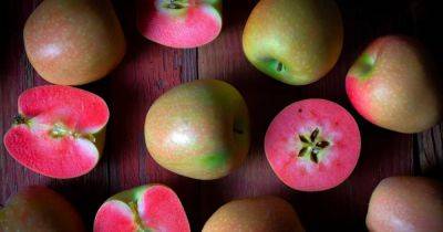 Все дело в цвете. Ученые раскрыли тайну красных яблок и их пользы для организма