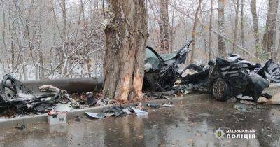В Черновцах легковушка въехала в дерево из-за погоды: погибли три человека (фото)