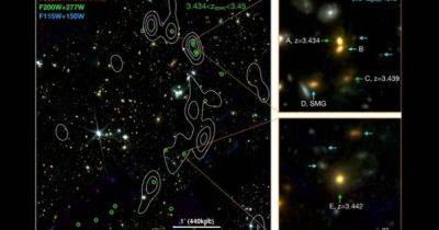 "Космическая лоза" длиной 13 млн световых лет: обнаружена необычная мегаструктура в космосе (фото)