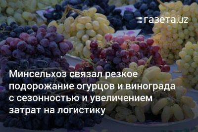 Минсельхоз связал резкое подорожание огурцов и винограда с сезонностью и увеличением затрат на логистику - gazeta.uz - Узбекистан - Ташкент - Виноград