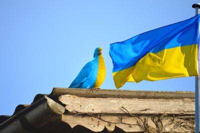 Война России против Украины 2024 – астролог озвучила прогноз на следующий год