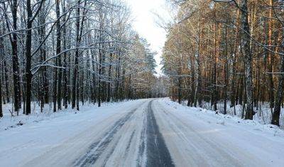 Мороз до -14 и усиление осадков: синоптик Диденко предупредила о погоде на вторник, 21 ноября и далее