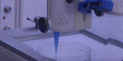Победа над облысением. Ученые напечатали волосяные фолликулы на 3D-принтере