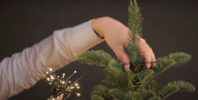 Готовимся к Новому году: что нужно сделать, чтобы елка не осыпалась раньше времени
