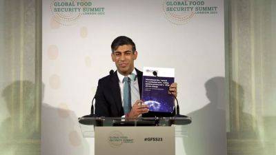 Сунак предлагает использовать ИИ в борьбе с недоеданием в мире