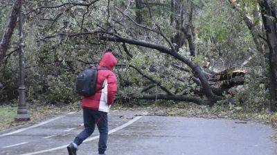 Румыния оценивает ущерб от сильнейшего за 100 лет шторма