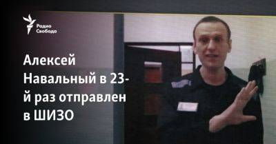 Алексей Навальный - Алексей Навальный в 23-й раз отправлен в ШИЗО - svoboda.org - Россия