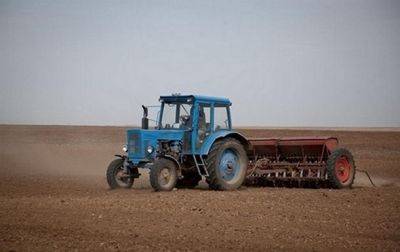 Аграрии Украины посеяли почти 5,8 млн га озимых культур