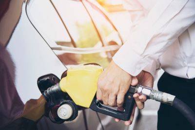 Цены на бензин и дизель – сколько будут стоить до конца года – прогноз
