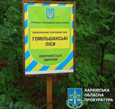 Участок в «Гомельшанских лесах» стоимостью 3 млн грн суд вернет государству