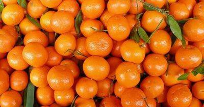 Содержание пестицидов выше нормы в 33 раза: в Украину завезли ядовитые мандарины из Египта (фото)