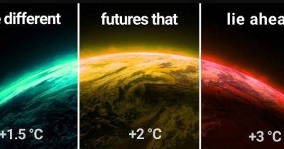 Мрачное будущее на раскаленной Земле: мир приближается к 3 градусам потепления