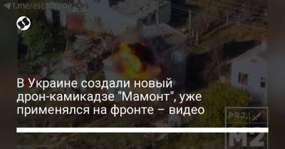 В Украине создали новый дрон-камикадзе "Мамонт", уже применялся на фронте – видео