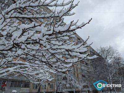 Мороз до -14, гололед. Прогноз погоды в Харькове и области на 22 ноября