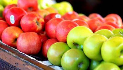 Как правильно хранить яблоки зимой: простые советы, которые уберуг плоды