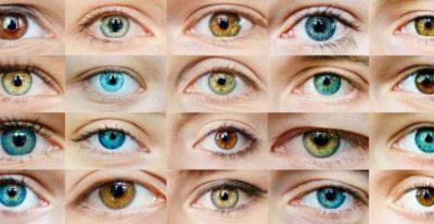 Карие или светлые: ученые рассказали, как цвет глаз влияет на работу сердца