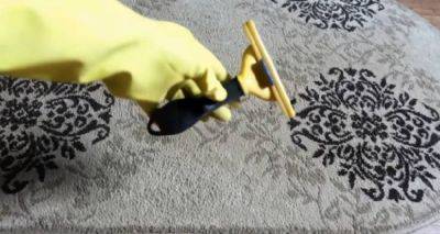 Как удалить избавиться от грязи и шерсти на ковре: простой способ