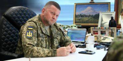В январе 2022 года Залужный говорил, что мобилизации пока не надо — нардеп Костенко