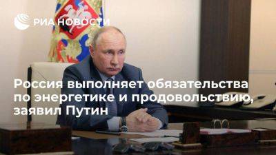 Путин: Россия выполняет все обязательства в сферах энергетики и продовольствия