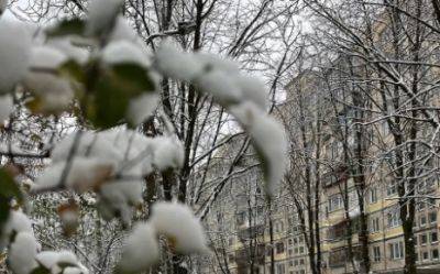 Киев накрыло снегом, на дорогах гололед и заторы: появились фото