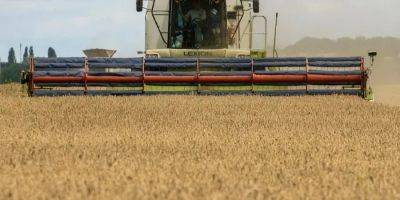 Тест на членство в ЕС. Словакия не спешит отменять запрет на импорт украинского зерна