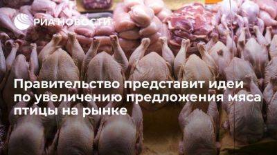 Путин поручил представить идеи по увеличению предложения мяса птицы на рынке