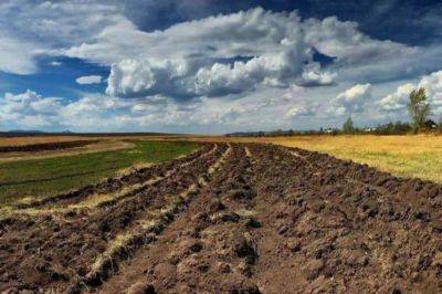 В Одесской области у фермера отсудили более 100 га земли | Новости Одессы