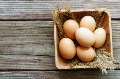 Что будет зимой с ценами на яйца и популярные крупы: появился важный прогноз