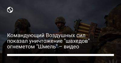 Командующий Воздушных сил показал уничтожение "шахедов" огнеметом "Шмель" – видео
