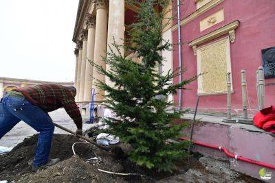 Возле Худмузея высадили деревья из питомника Бориса Айзенберга | Новости Одессы