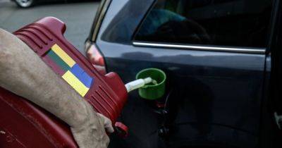 На украинских АЗС исчезает популярное топливо: что происходит
