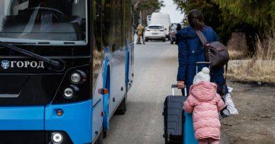 Беженцы из Украины: пять городов Чехии больше не дают бесплатное жилье украинцам, — СМИ