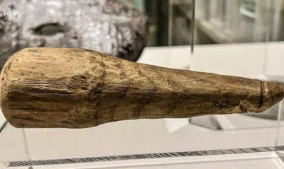 Ученые раскрыли тайну 2000-летнего деревянного артефакта