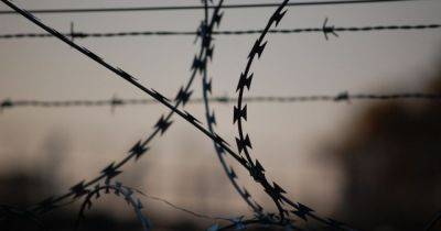 Тюрьма с конфискацией: в Закарпатье осудили мужчину за помощь уклонистам - dsnews.ua - Украина - Закарпатская обл.