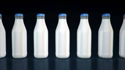 Рост производства молока в ЕС в 2022 году остановился — Евростат