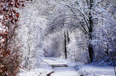 Прогноз на 25-27 ноября - синоптики обещают снег и похолодание
