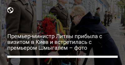 Премьер-министр Литвы прибыла с визитом в Киев и встретилась с премьером Шмыгалем – фото