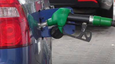 Водители в восторге — шара пришла: крупные сети АЗС устроили распродажу бензина и дизеля, где и по каким ценам