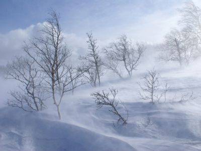 Снегопады в Украине - дата, когда выпадет до 60 см снега