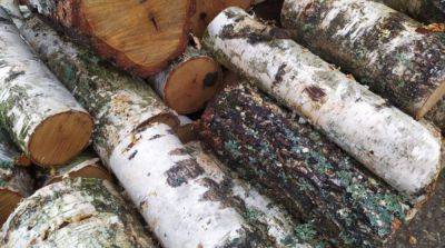 Министр рассказал, хватит ли запасов дров украинцам этой зимой