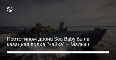 Василий Малюк - Прототипом дрона Sea Baby была казацкая лодка "Чайка" – Малыш - liga.net - Россия - Китай - Украина - Калибр
