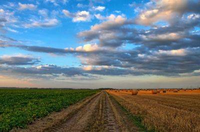 Бюджетные поступления от сельхозземель растут, количество земельных аукционов бьет рекорд — KSE Агроцентр