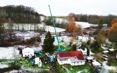 В Чехии срубили главную рождественскую ёлку страны: видео