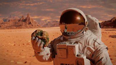 Марс про запас: Учёный заявил, что Красная планета может стать вторым домом для человечества