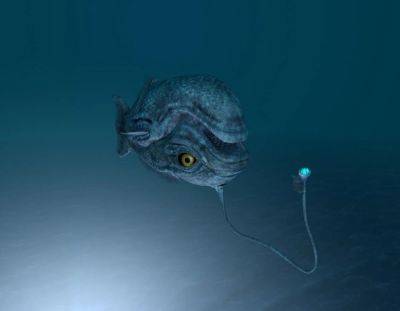 Такую на удочку точно не поймаешь: обнаружена рыба, которая постоянно плавает вверх животом и обладает своим фонариком