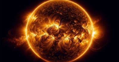 Вильям Нельсон - Огненный эпицентр: насколько горячо Солнце на самом деле, рассказали астронавты - focus.ua - Украина