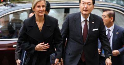 Герцогиня Эдинбургская Софи продемонстрировала элегантные образы на встрече с президентом Южной Кореи
